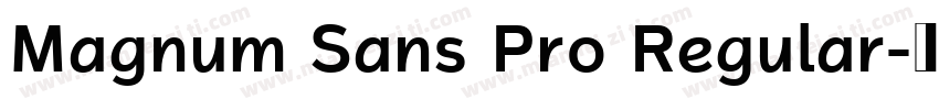 Magnum Sans Pro Regular字体转换